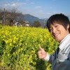 福山市田尻町で開催される菜の花まつり2014