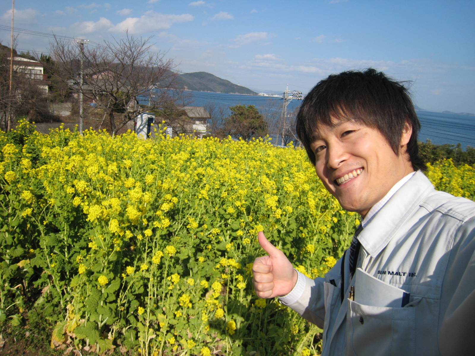福山市田尻町で開催される菜の花まつり2014