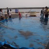 福山市内海町で開催されている「うつみ大漁まつり」に行ってきました