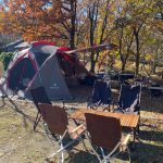 【キャンプ】座面高35cmのローチェア（スリムエックスチェア）～愛用しているキャンプ道具・グッズを紹介するだけのブログvol.3