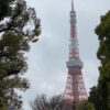 【旅行】東京ウォーカー vol.9～東京タワー（芝公園から眺める）