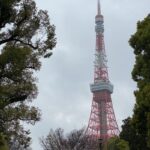 【旅行】東京ウォーカー vol.9～東京タワー（芝公園から眺める）